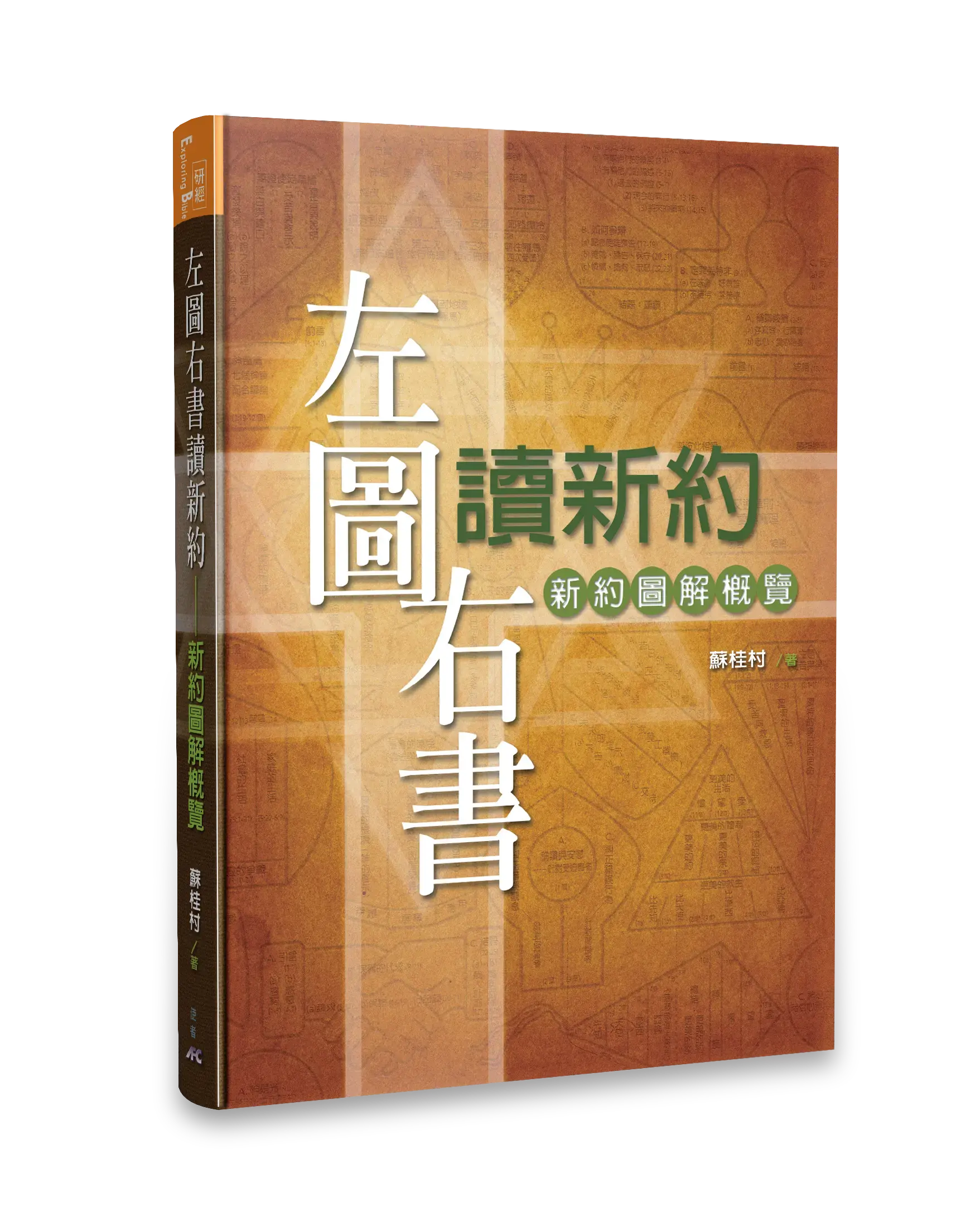 左圖右書讀新約 立體書影
