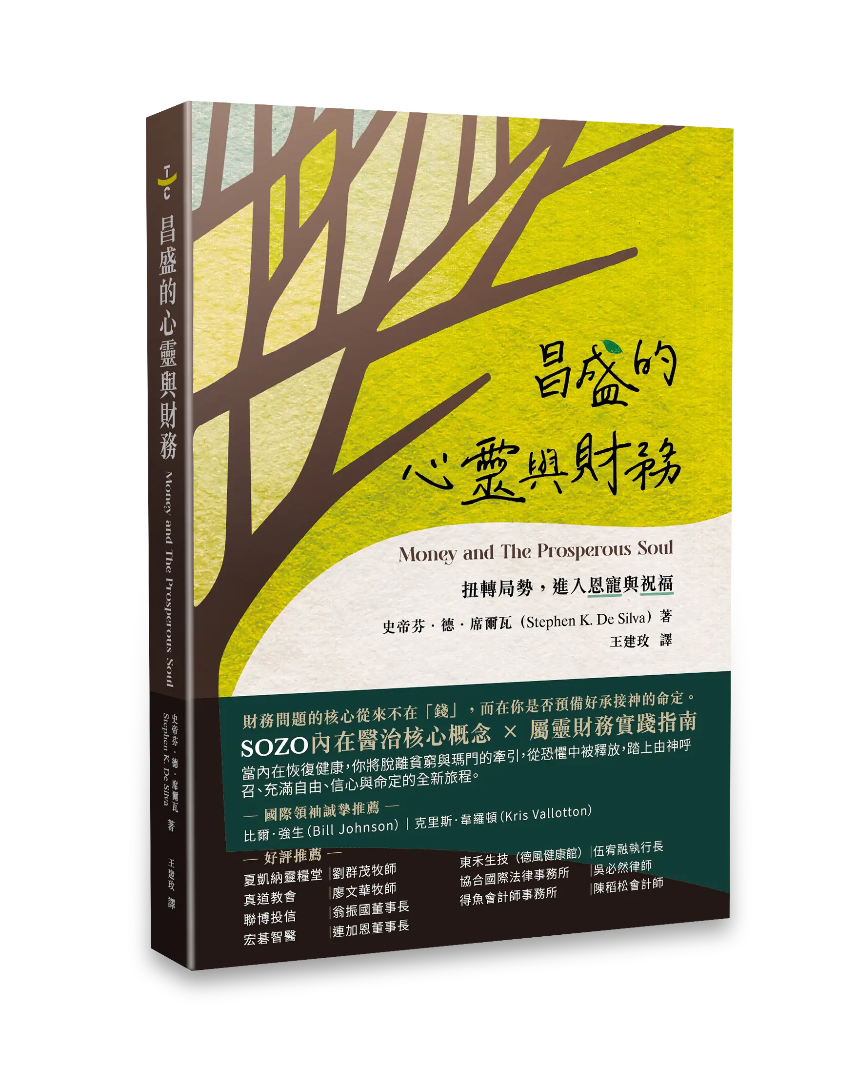N Hi 昌盛的心靈與財務 立體書影 書腰