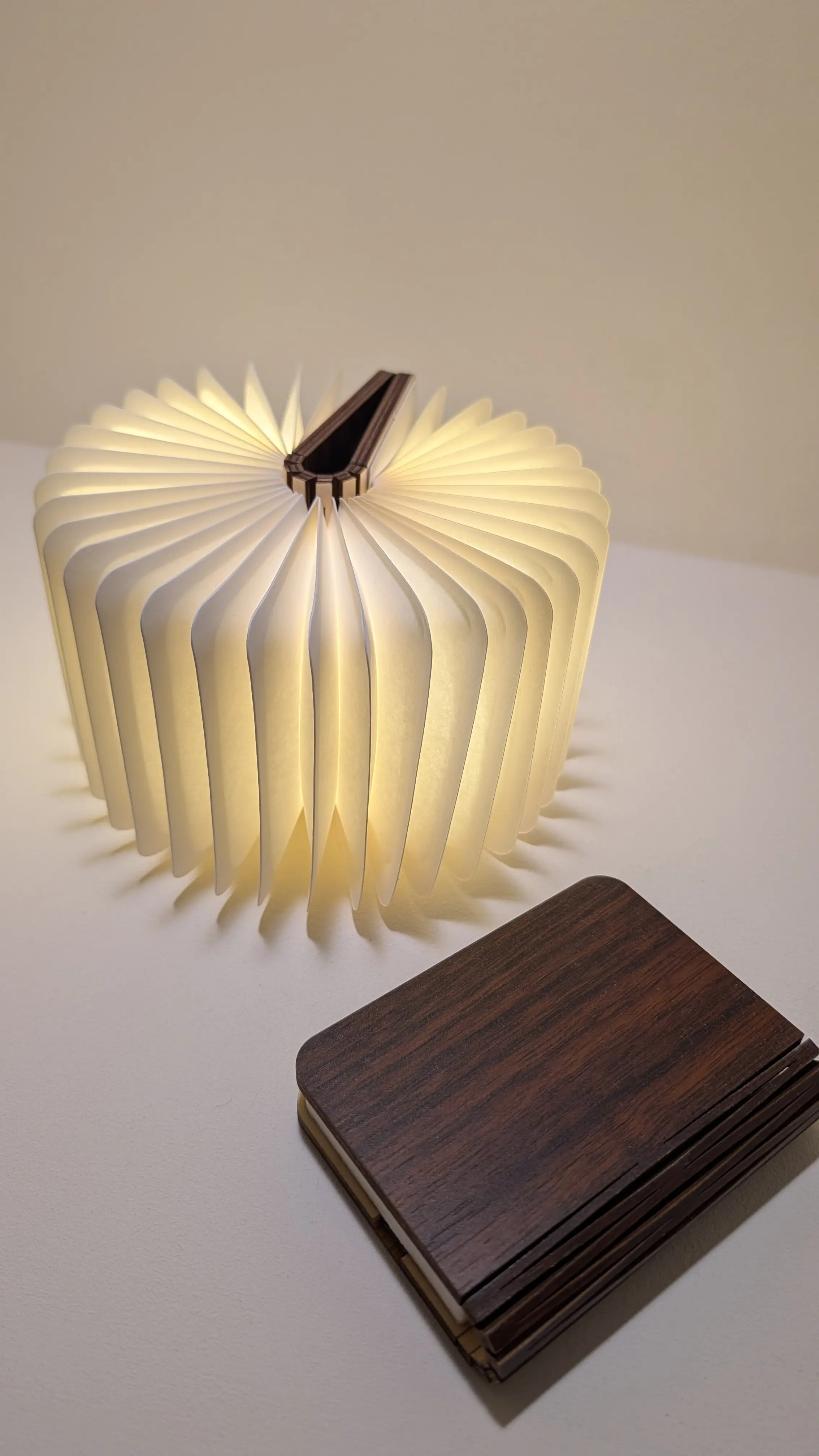 Pxl 20260120 001716274