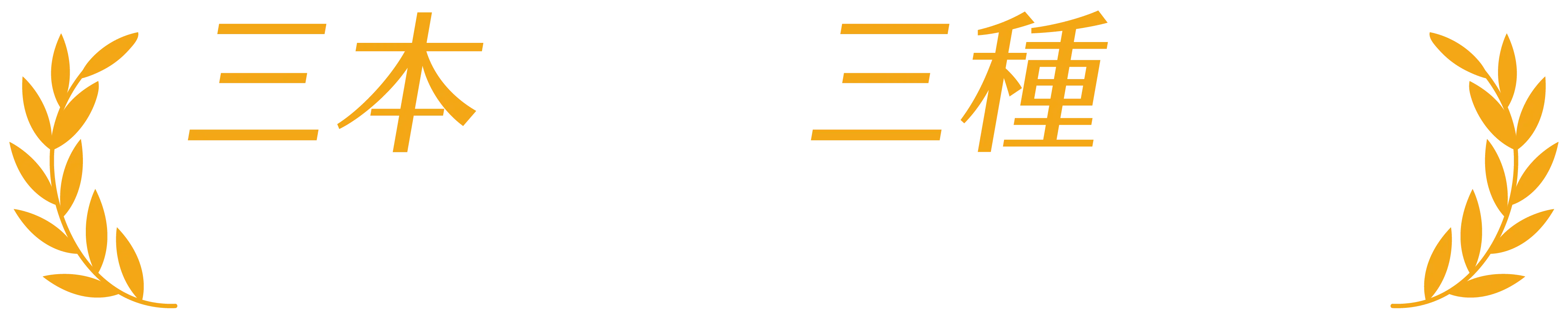 隆梅爾 11