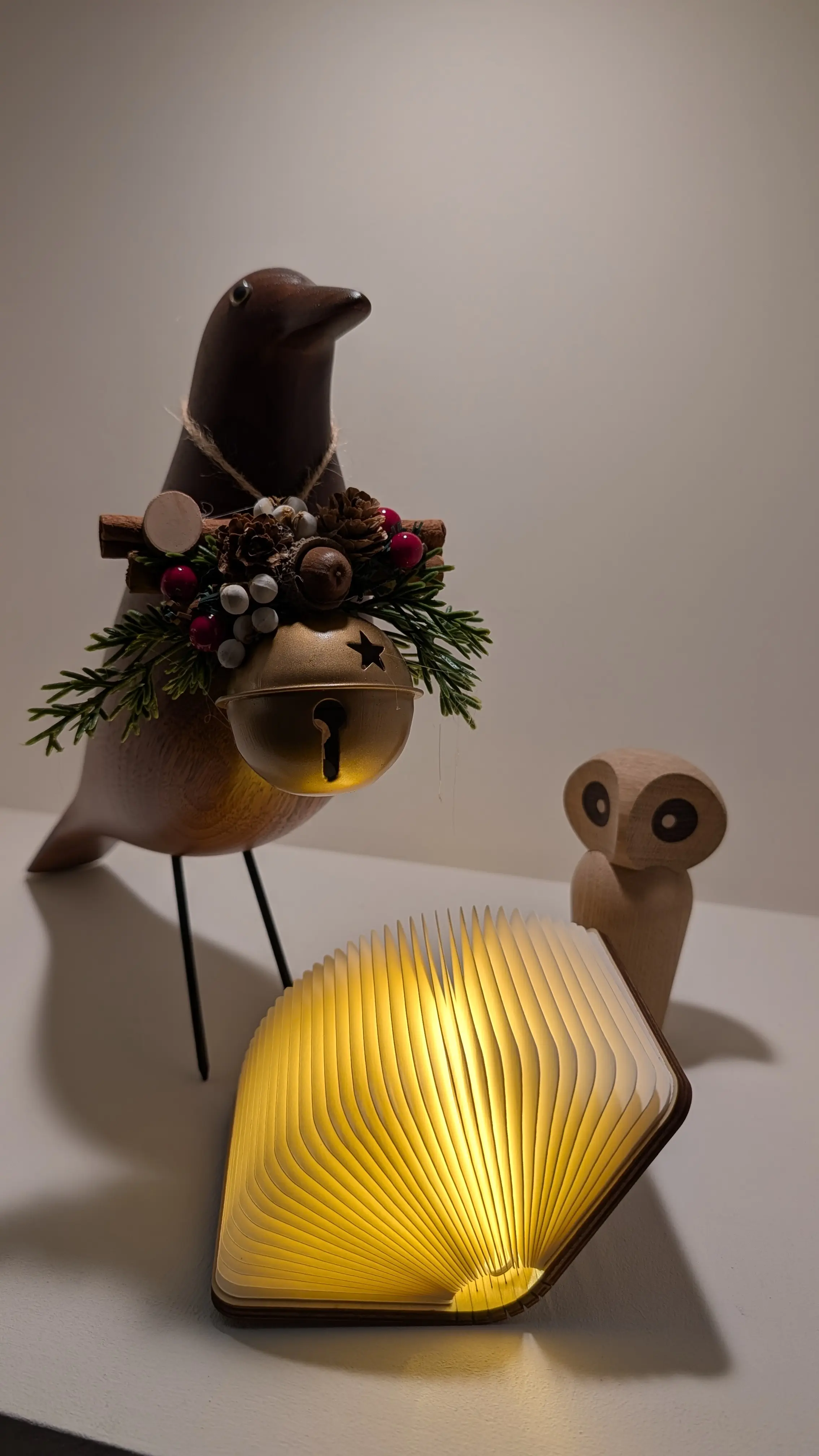 Pxl 20260120 012724959