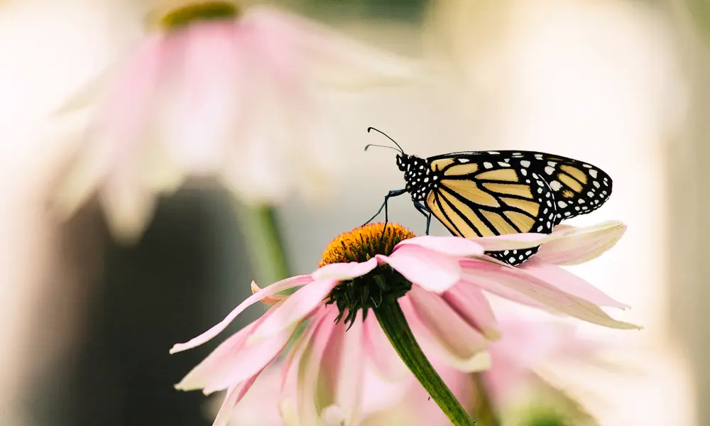 部落格文上架圖片 3