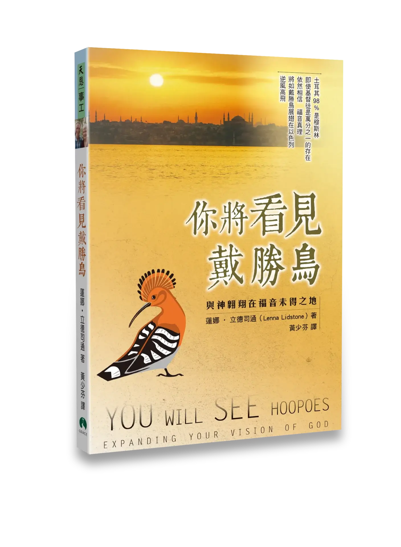 你將看見戴勝鳥 平裝立體書影新版 1