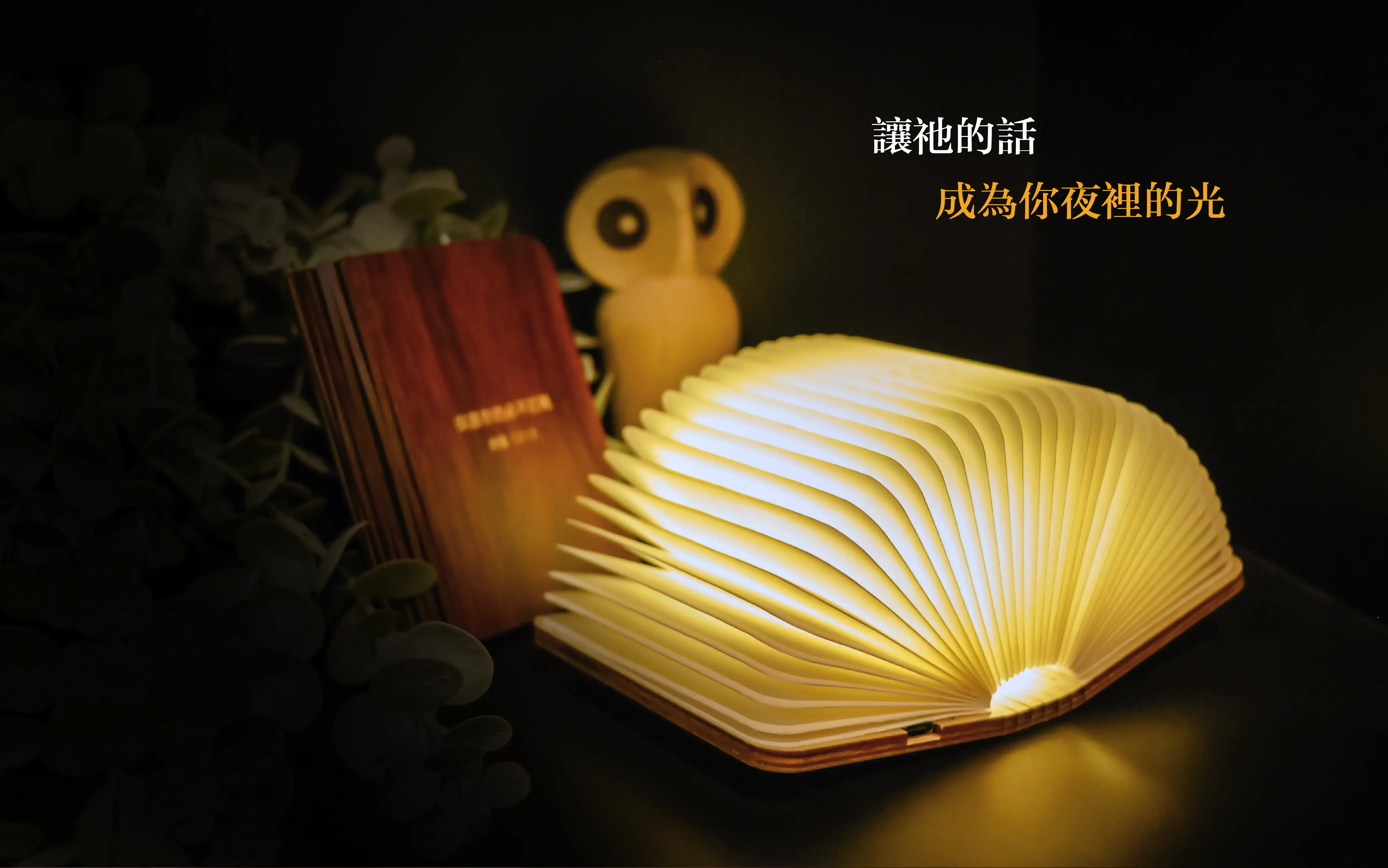 書燈用 13
