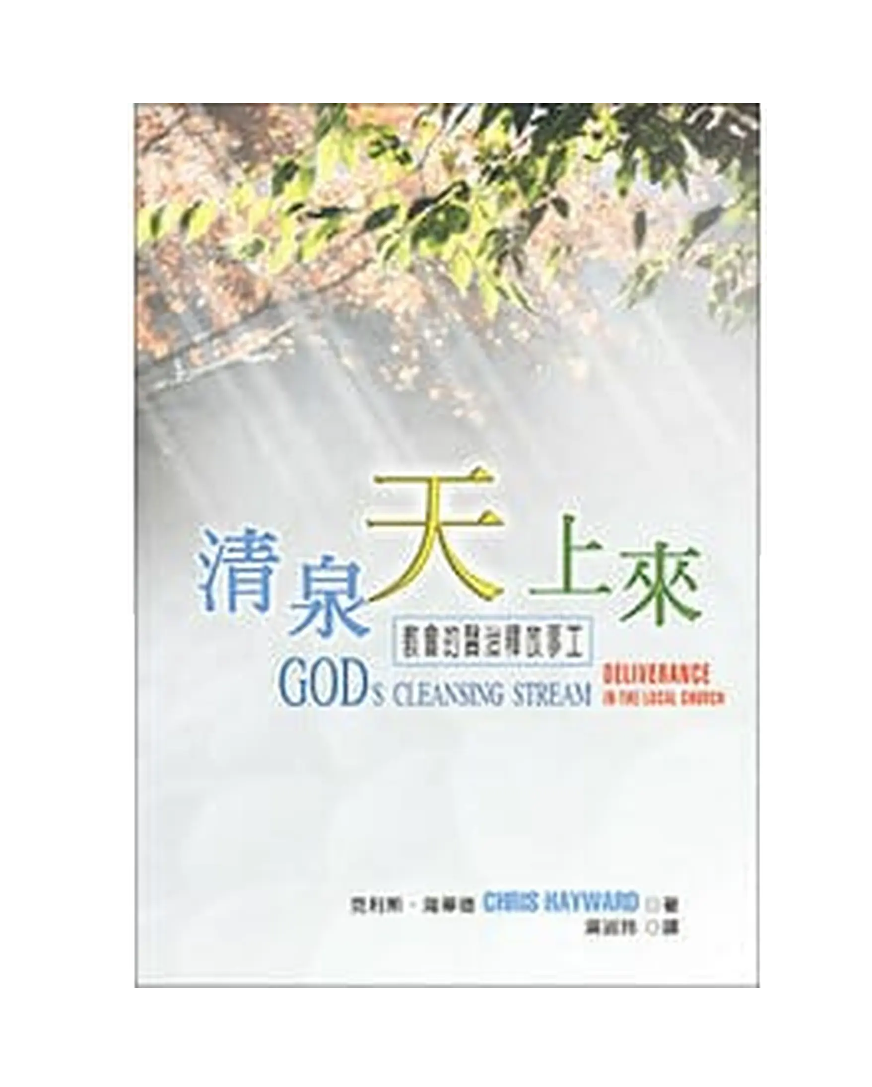清泉天上來 書影