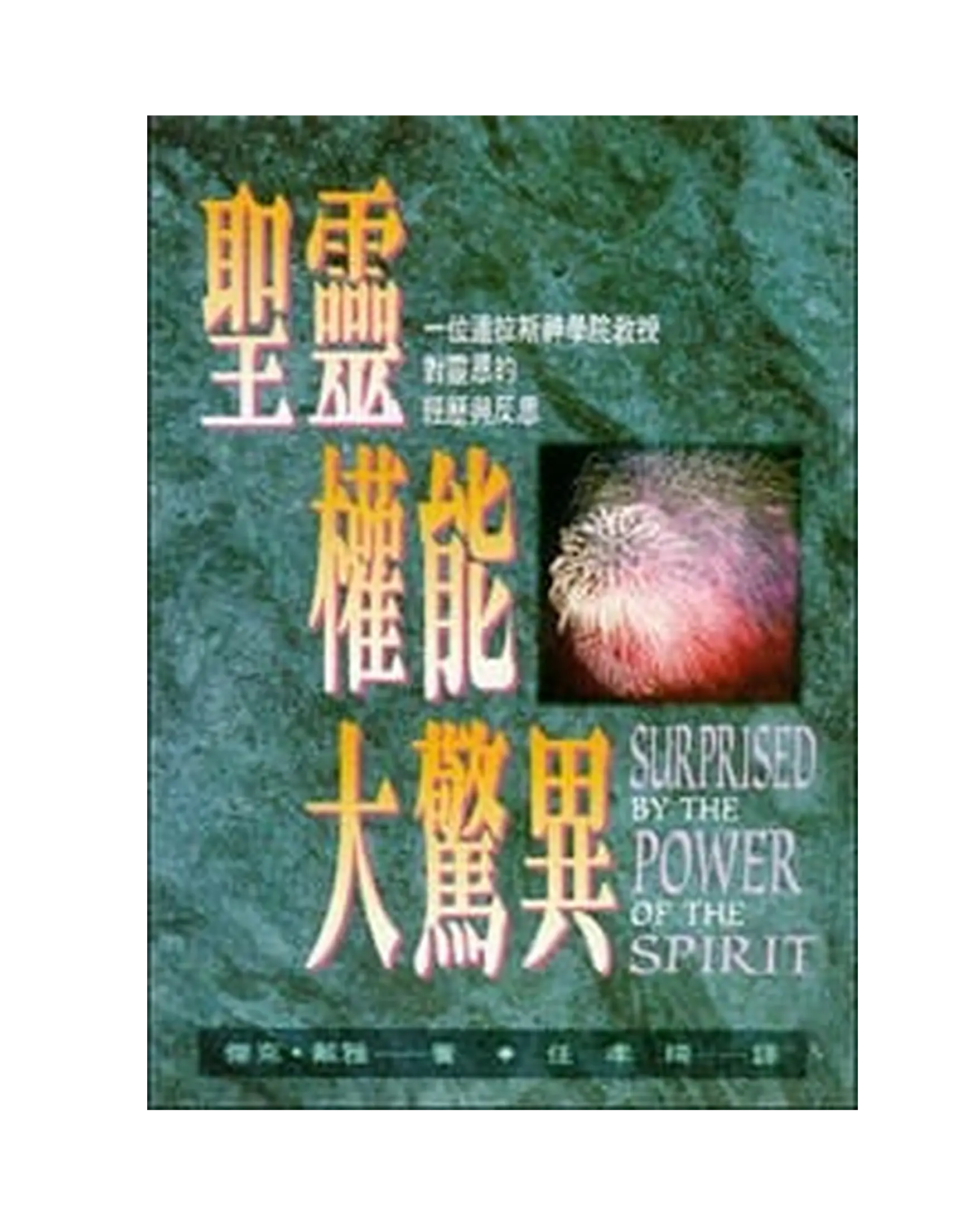 (限量)聖靈權能大驚異:一位達拉斯神學院教授對靈恩的經歷與反思 書影 (限量)聖靈權能大驚異:一位達拉斯神學院教授對靈恩的經歷與反思 書影