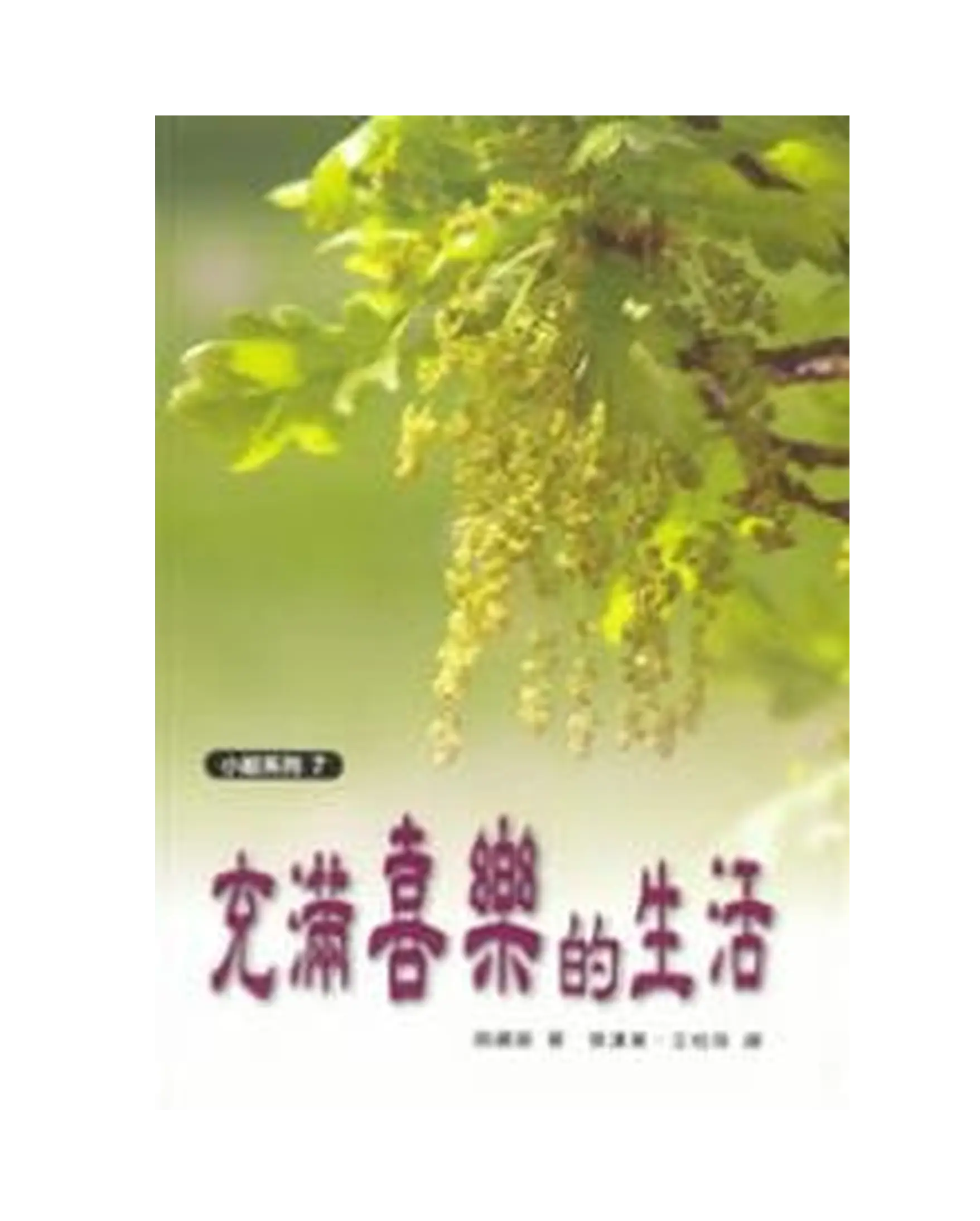 充滿喜樂的生活 書影