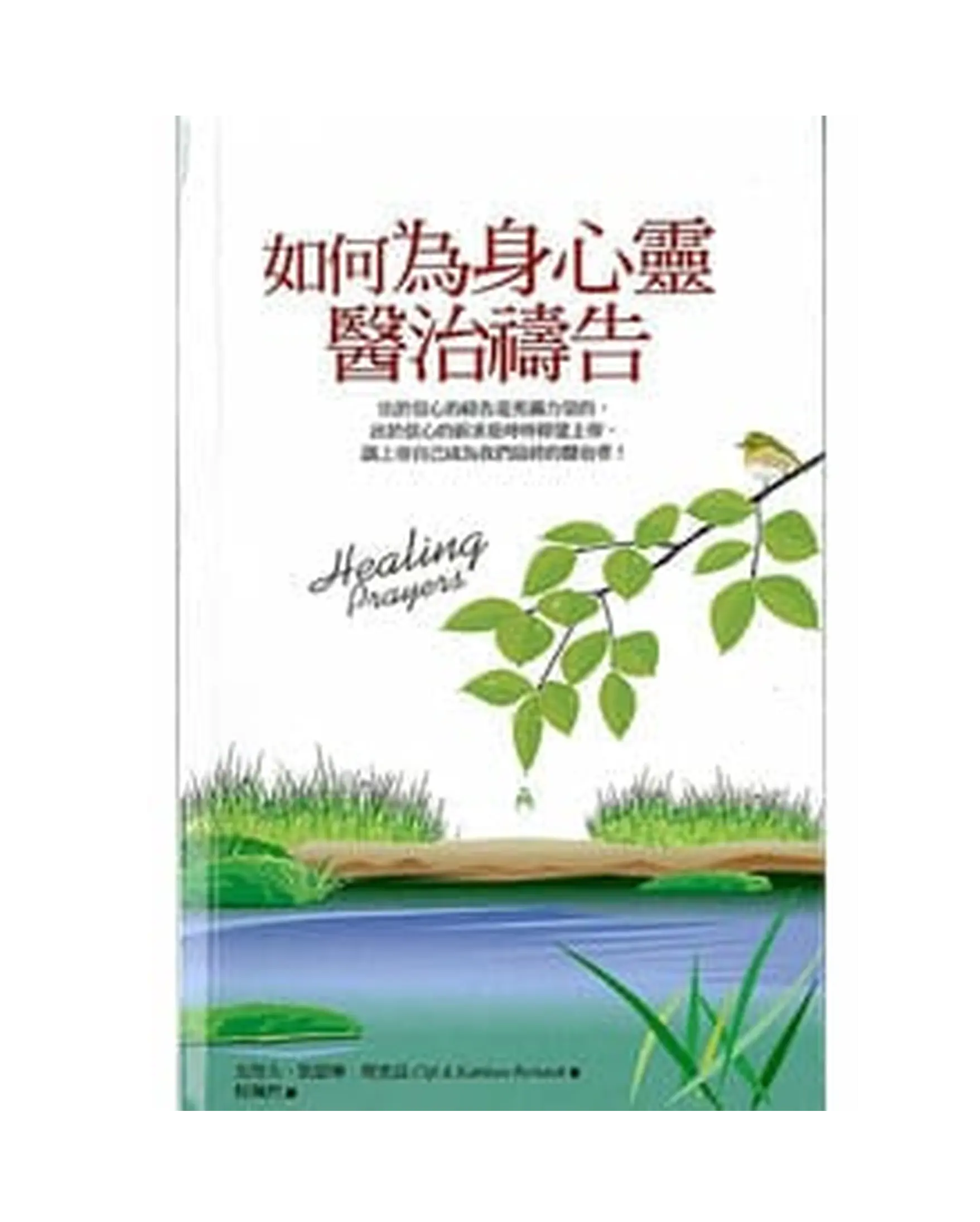 如何為身心靈醫治禱告 書影
