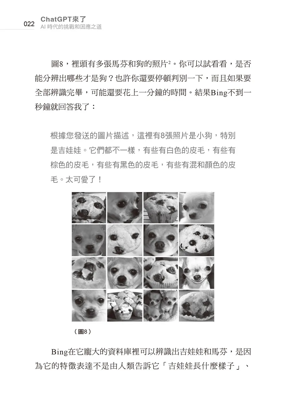 ChatGPT來了:AI時代的挑戰和因應之道 書摘 b17