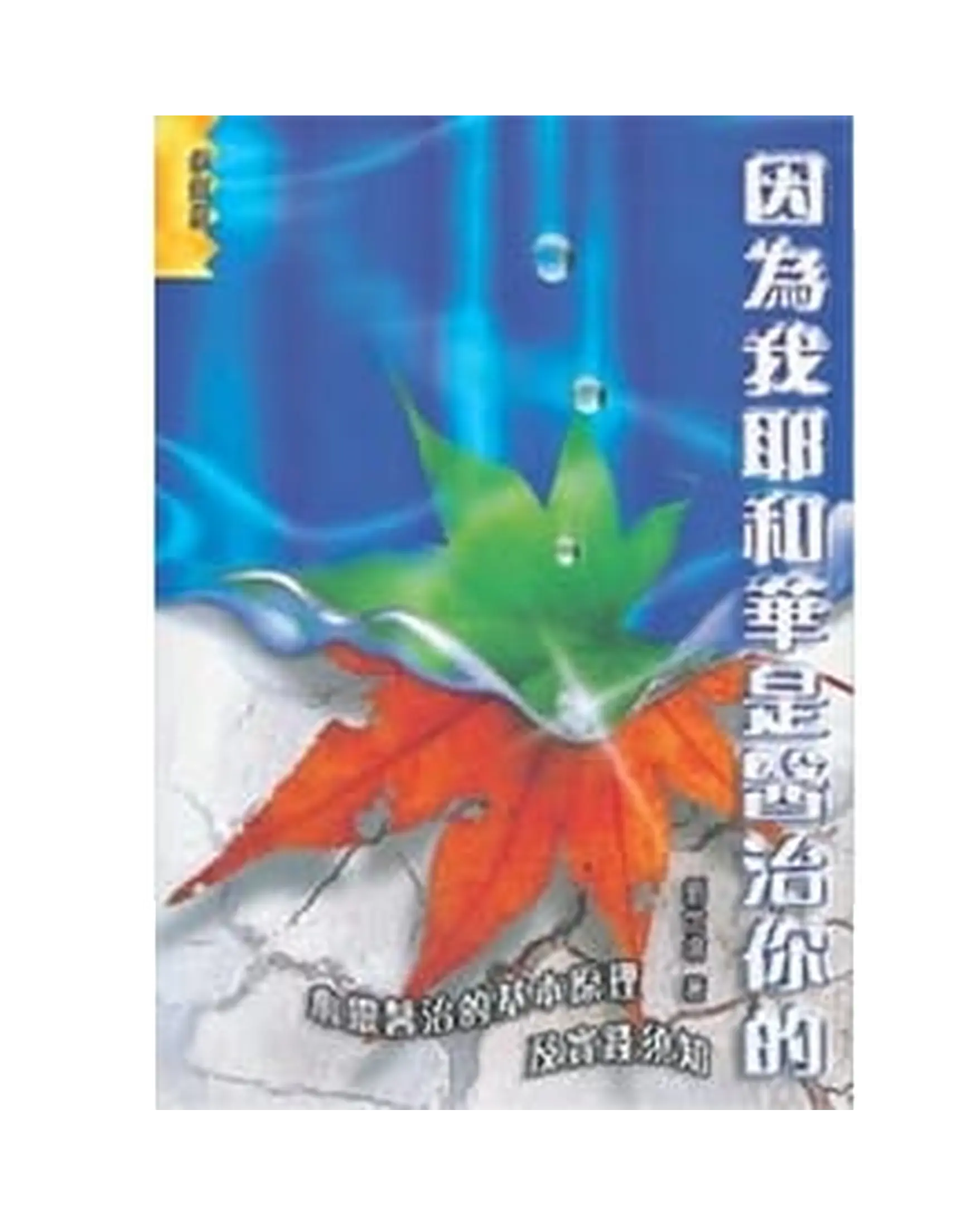 因為我耶和華是醫治你的 書影