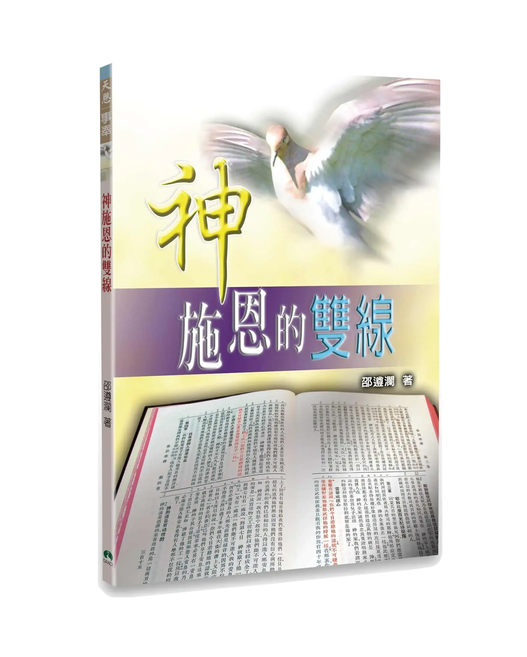 神施恩的雙線 書影 神施恩的雙線 書影