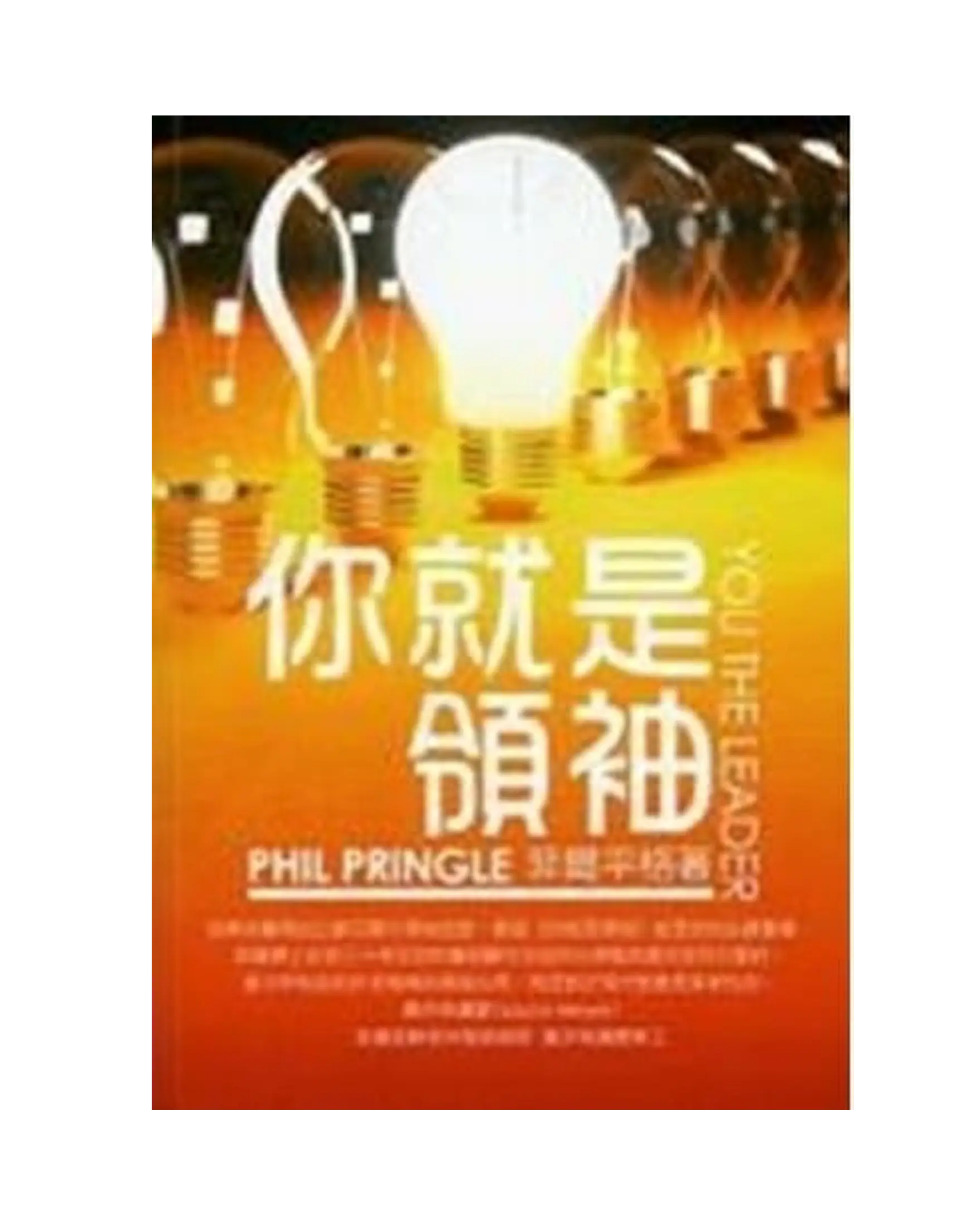 你就是領袖 書影
