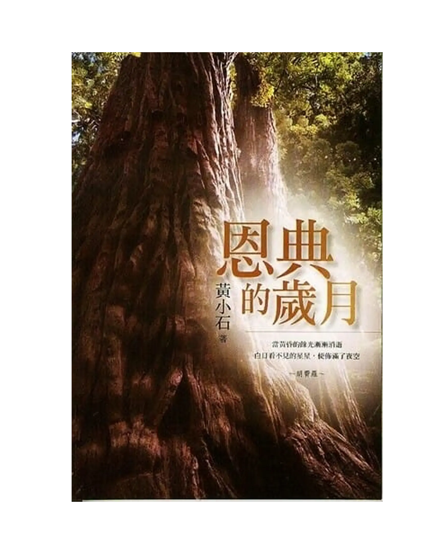 恩典的歲月 書影