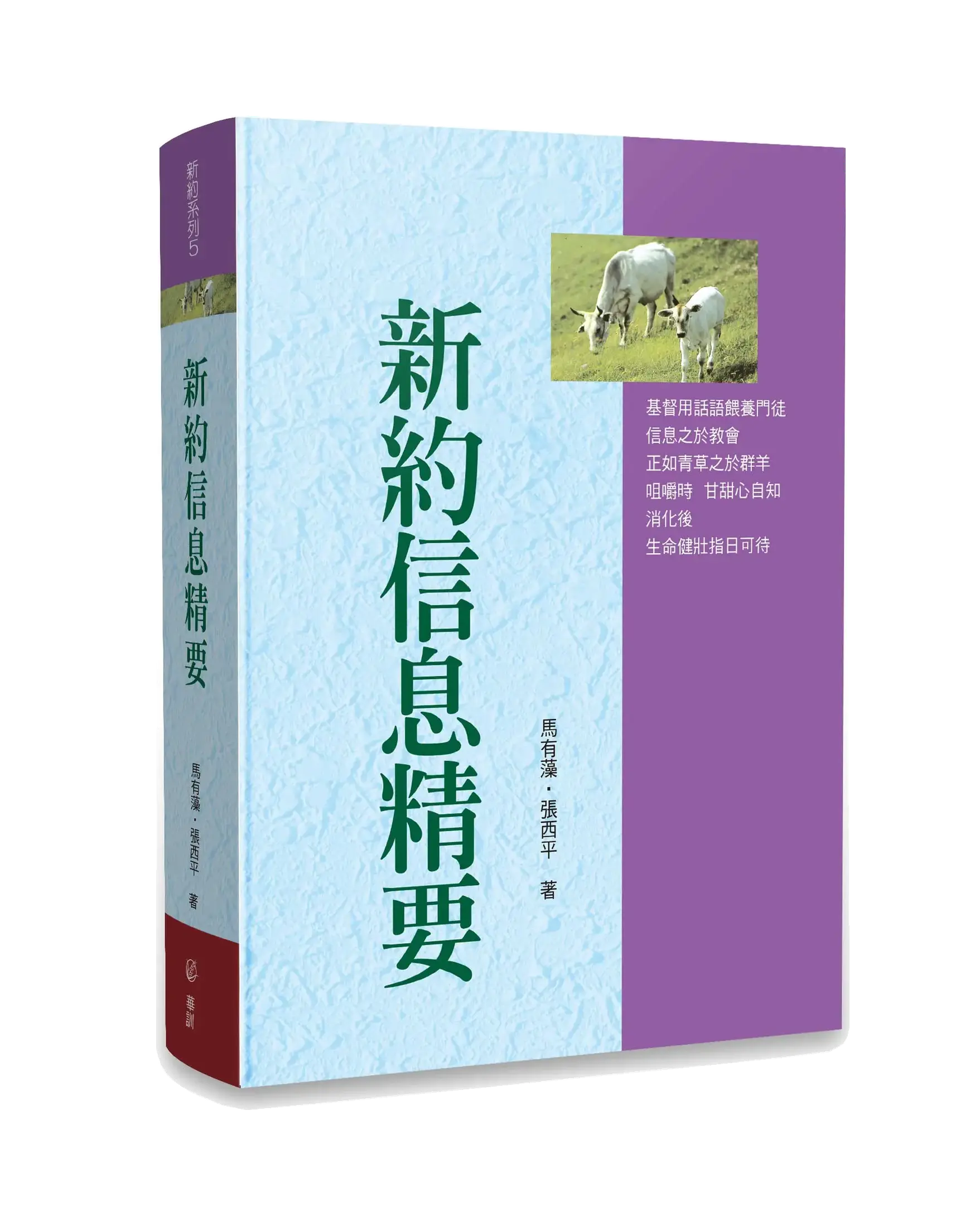 新約信息精要 POD 書影