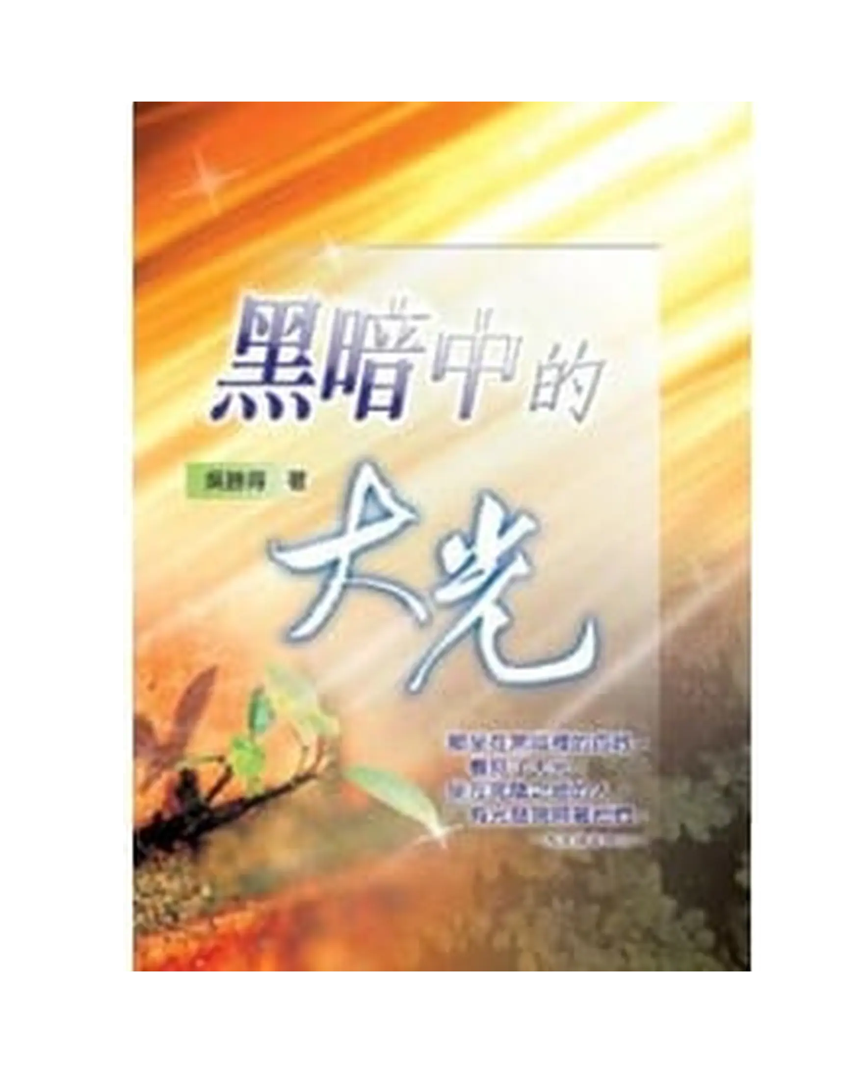 黑暗中的大光 書影