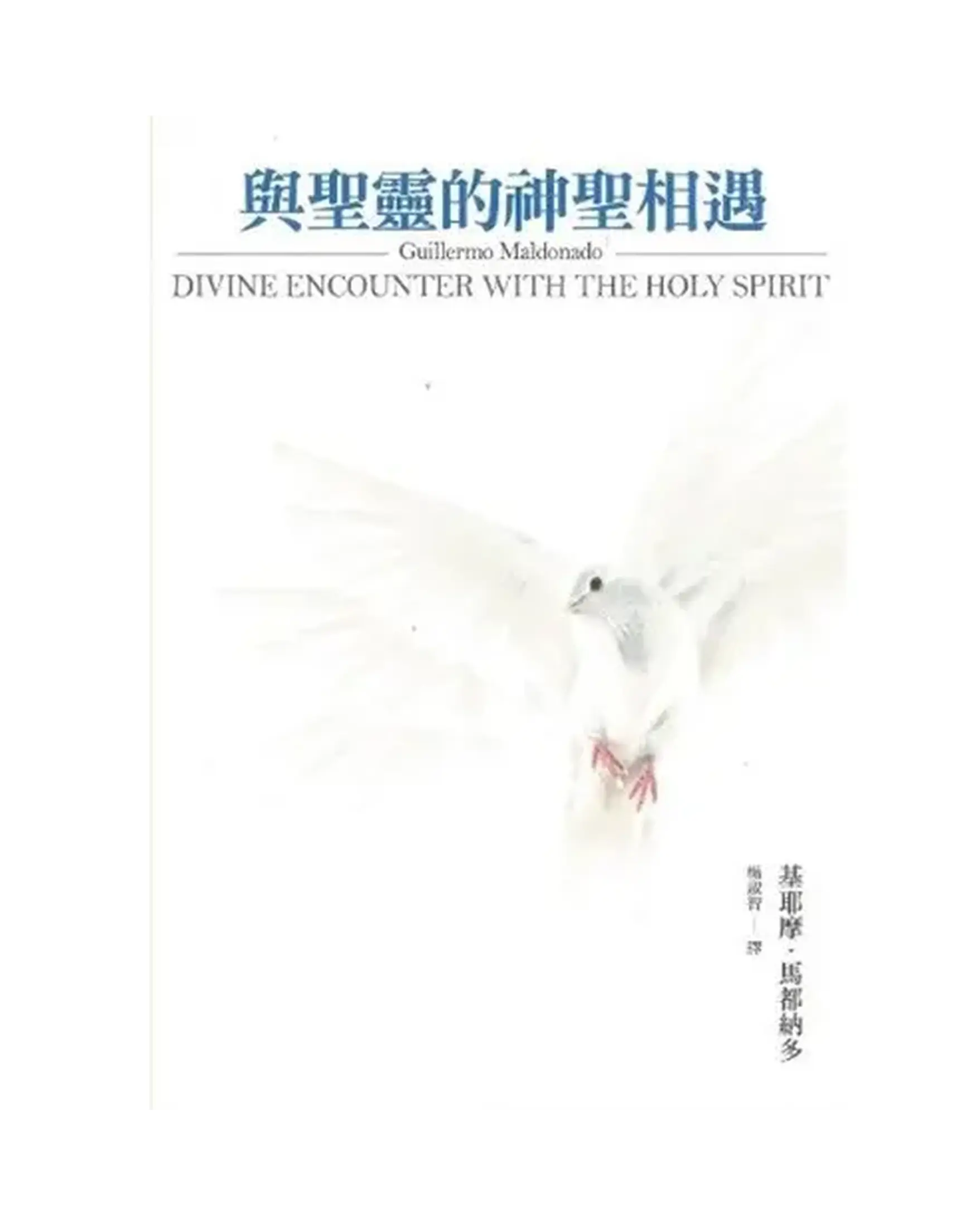 與聖靈的神聖相遇 書影