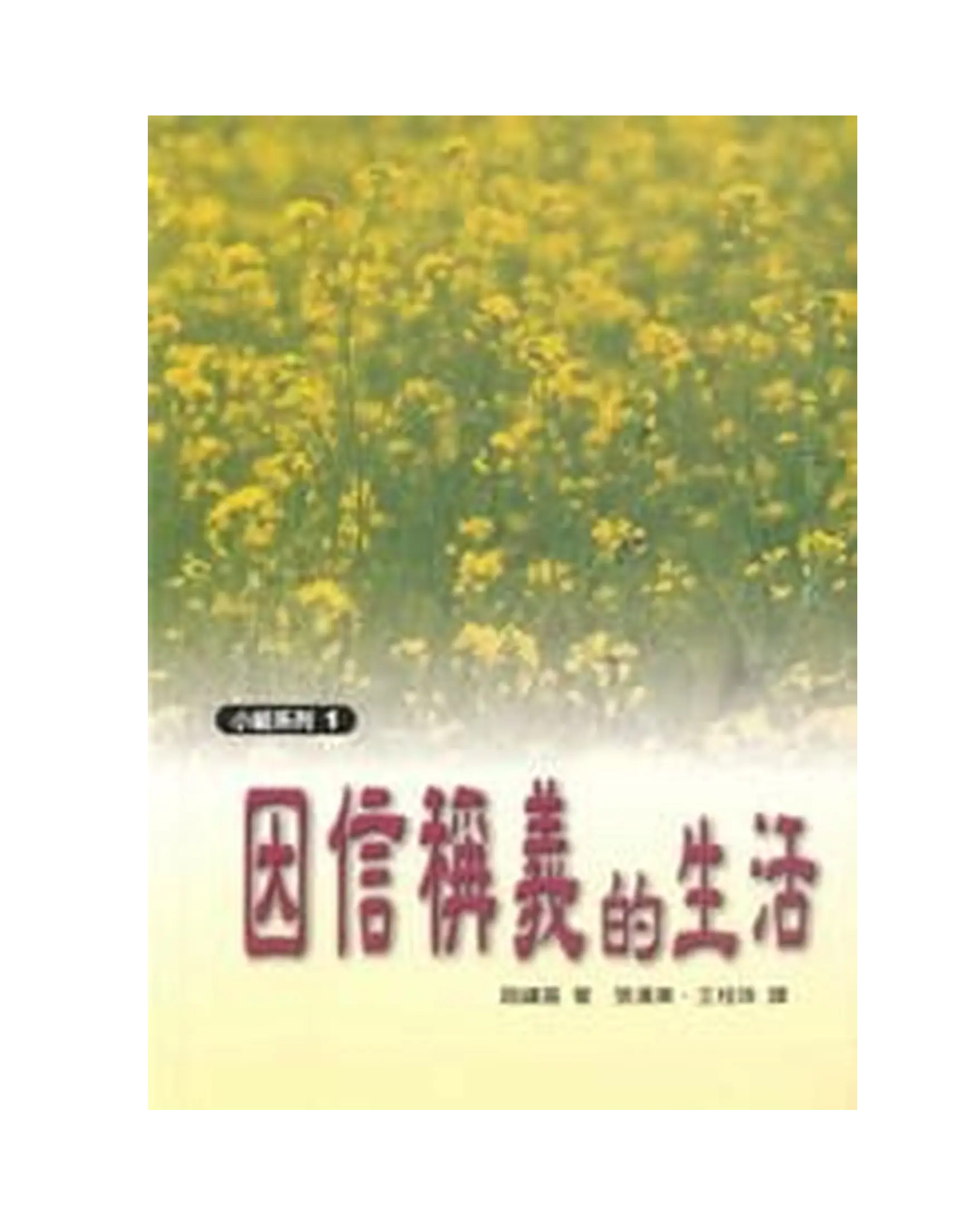 因信稱義的生活 書影