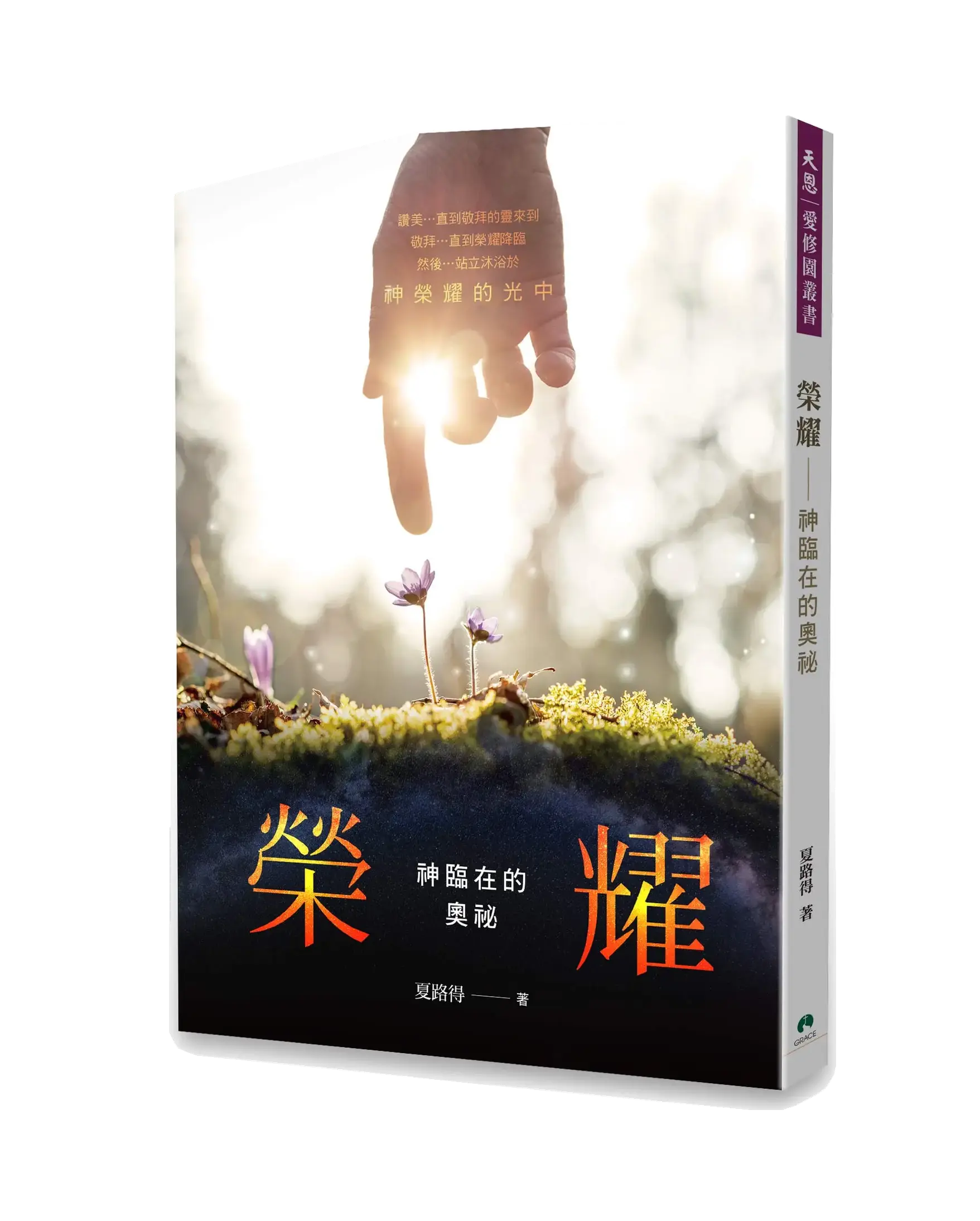 榮耀：神臨在的奧祕 書影
