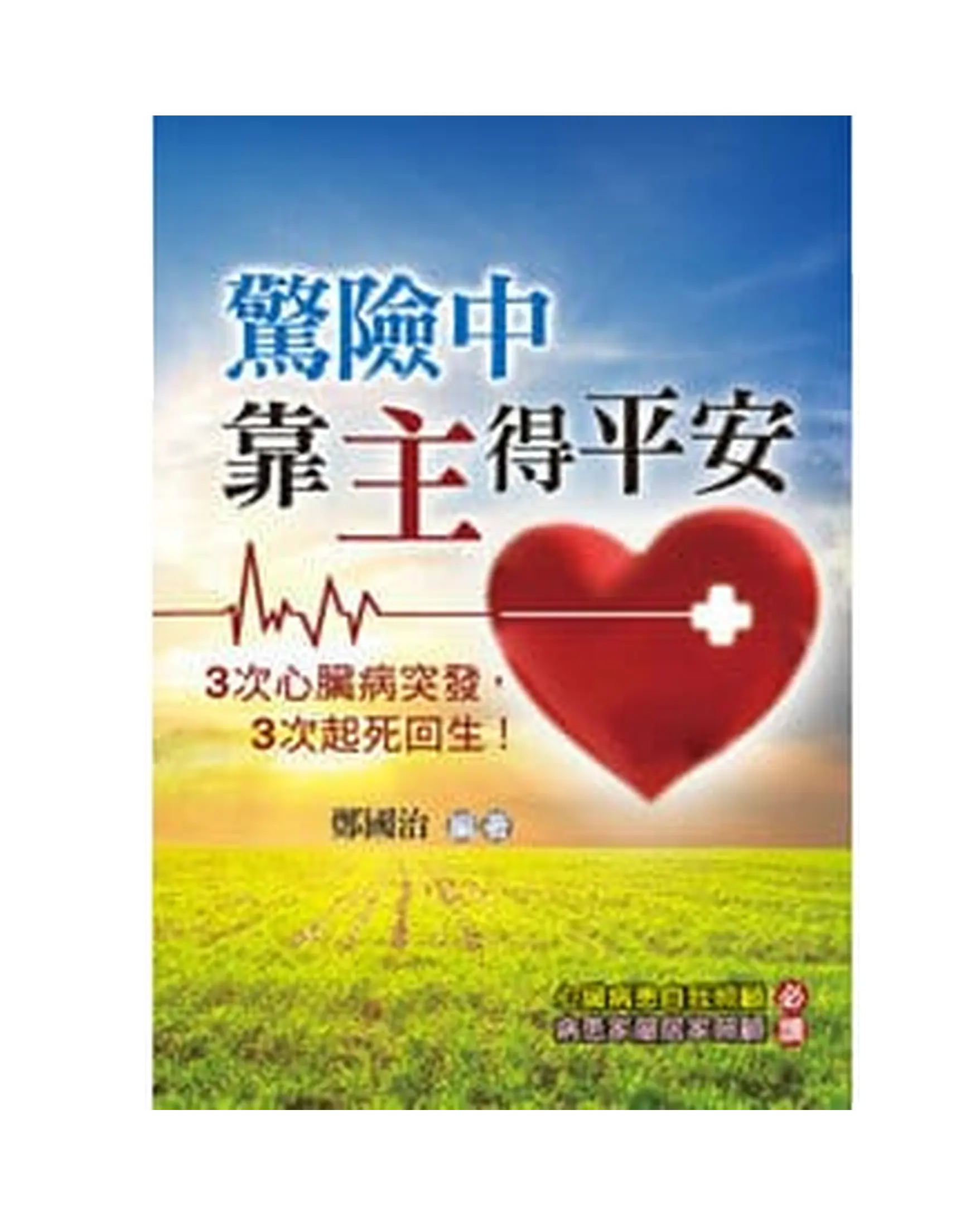 驚險中靠主得平安 書影