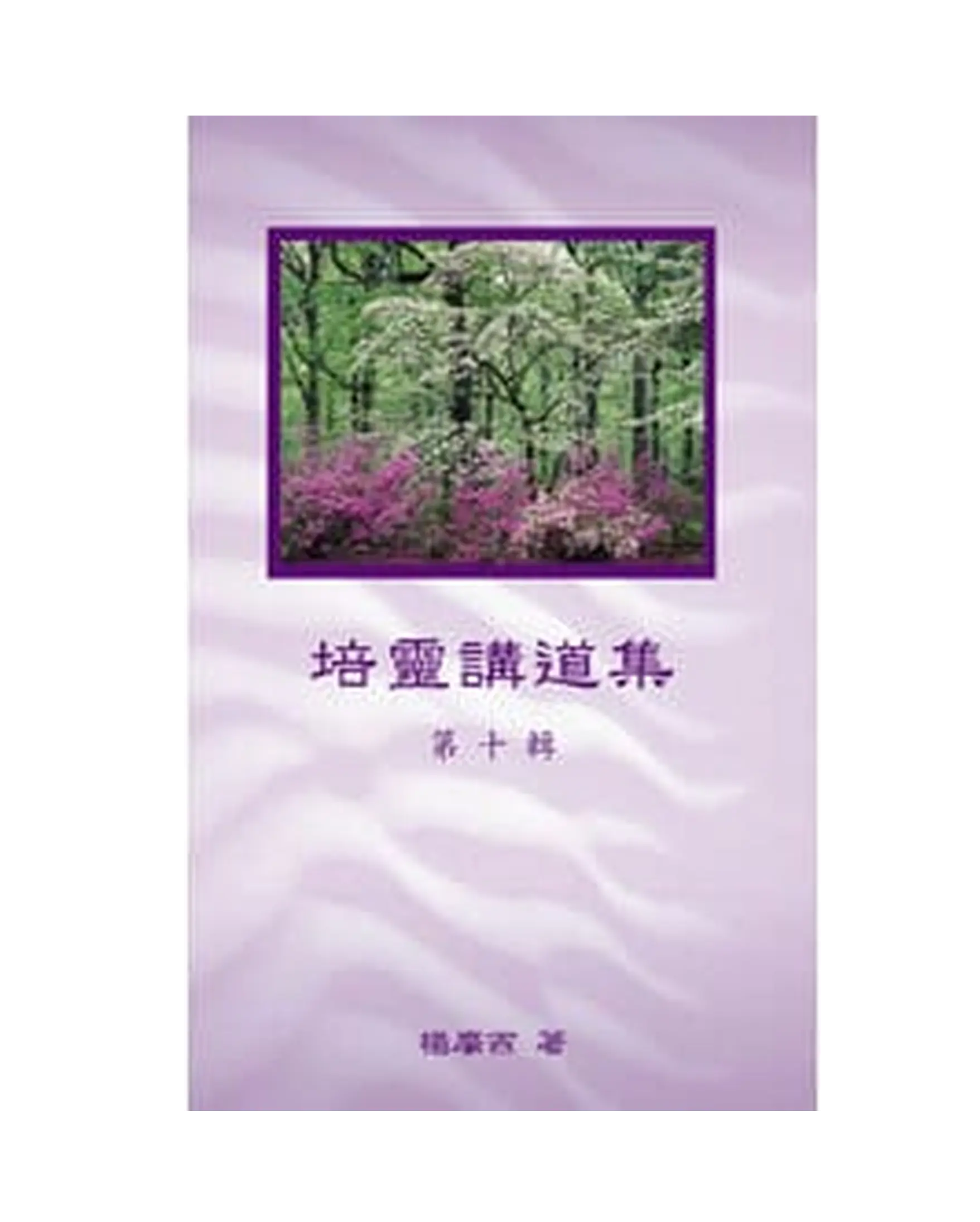 培靈講道集（第十輯） 書影