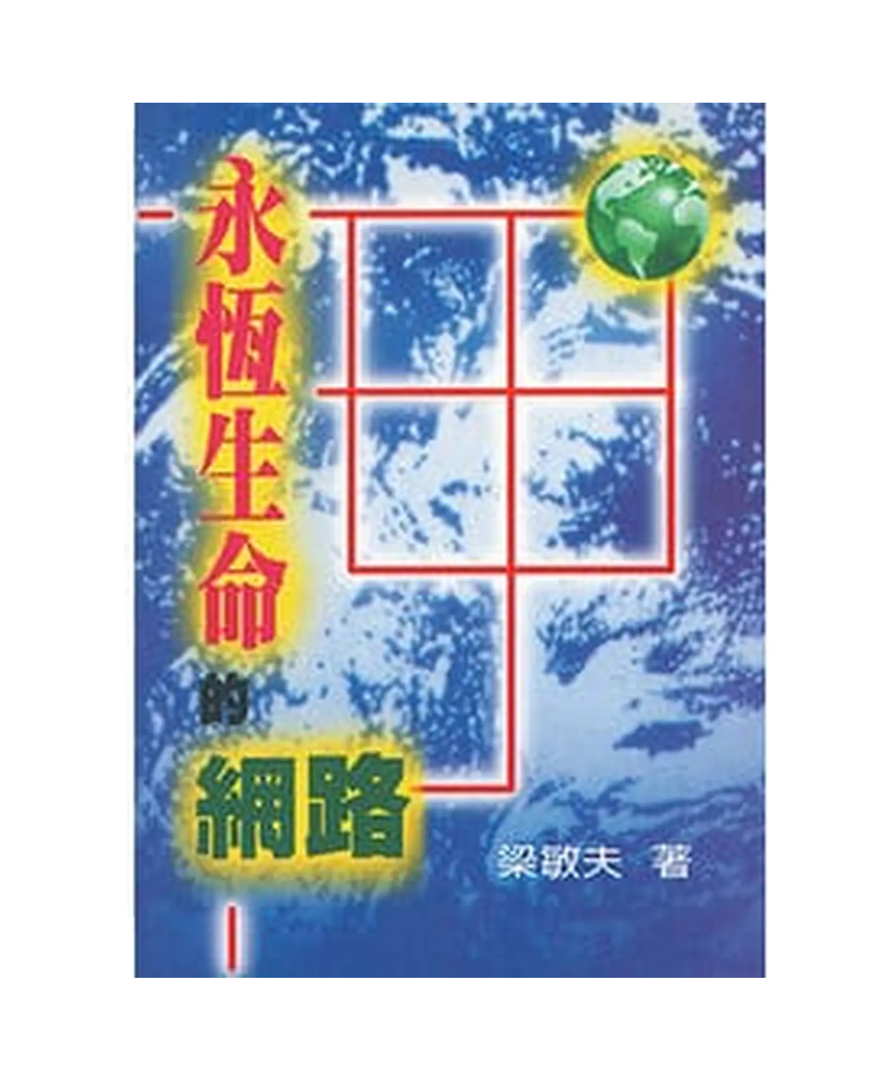 永恆生命的網路 書影 永恆生命的網路 書影