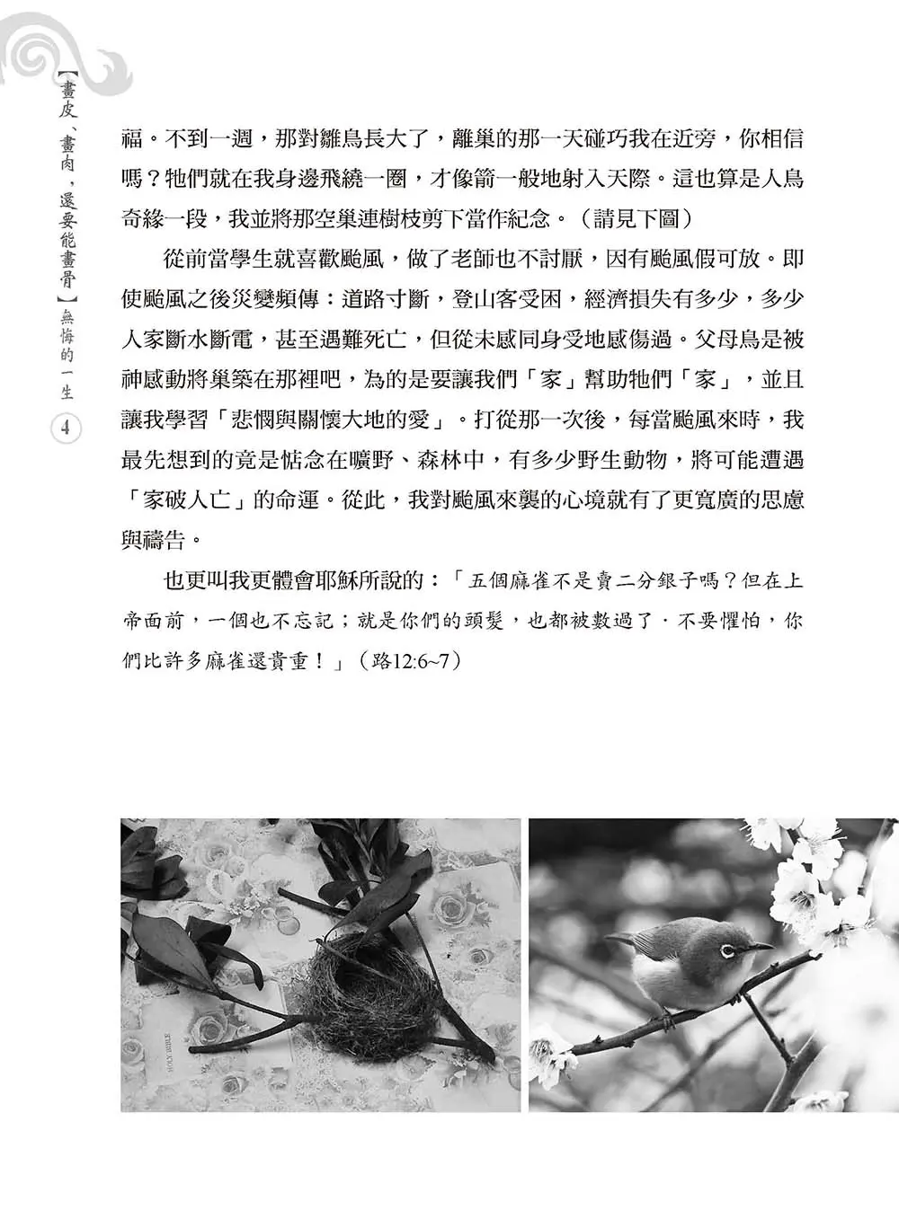 畫皮、畫肉，還要能畫骨 書摘 b3