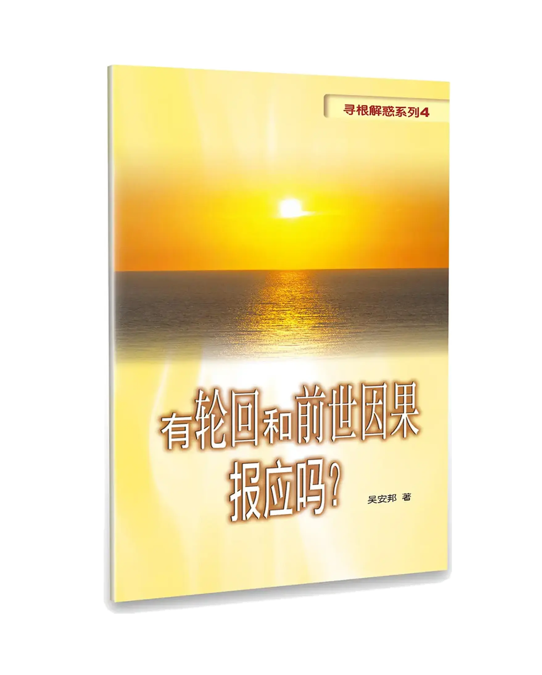 有輪迴和前世因果報應嗎？（簡體版） 書影